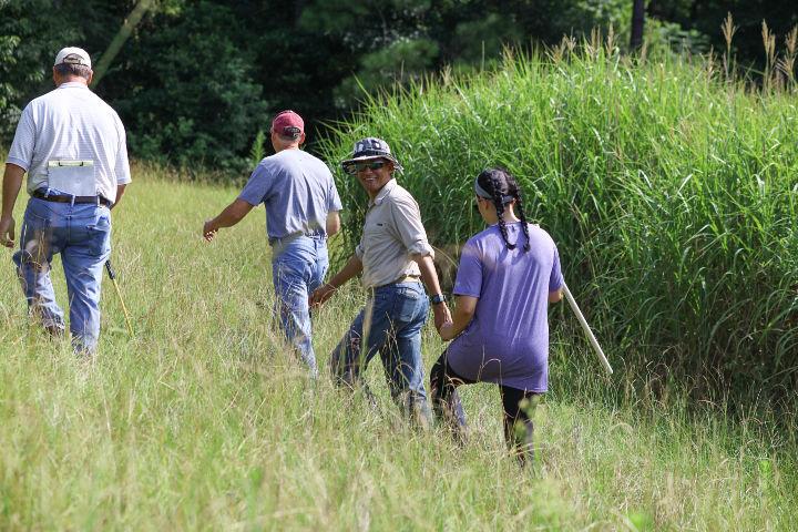 Field Walk