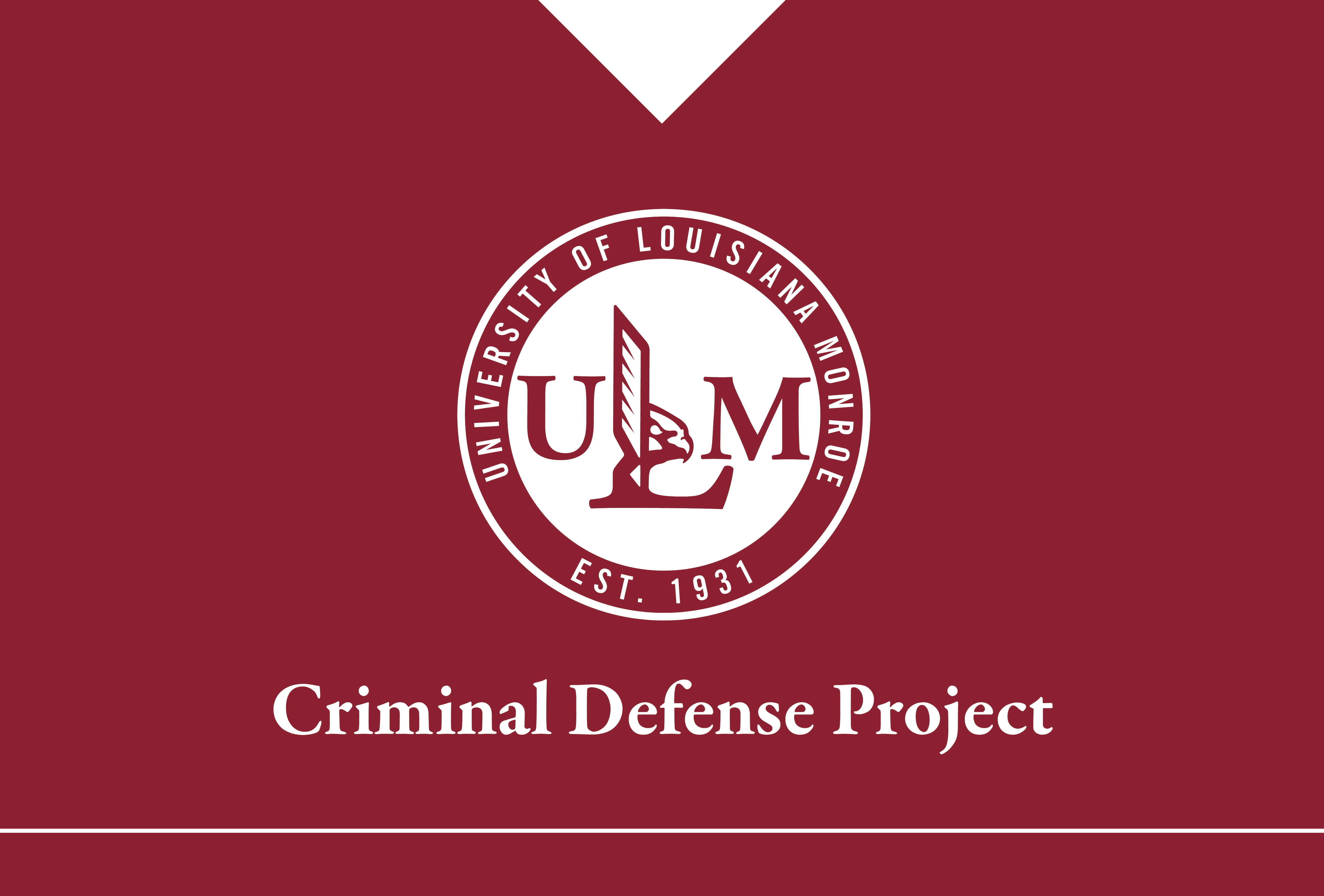 Criminal Defense Project