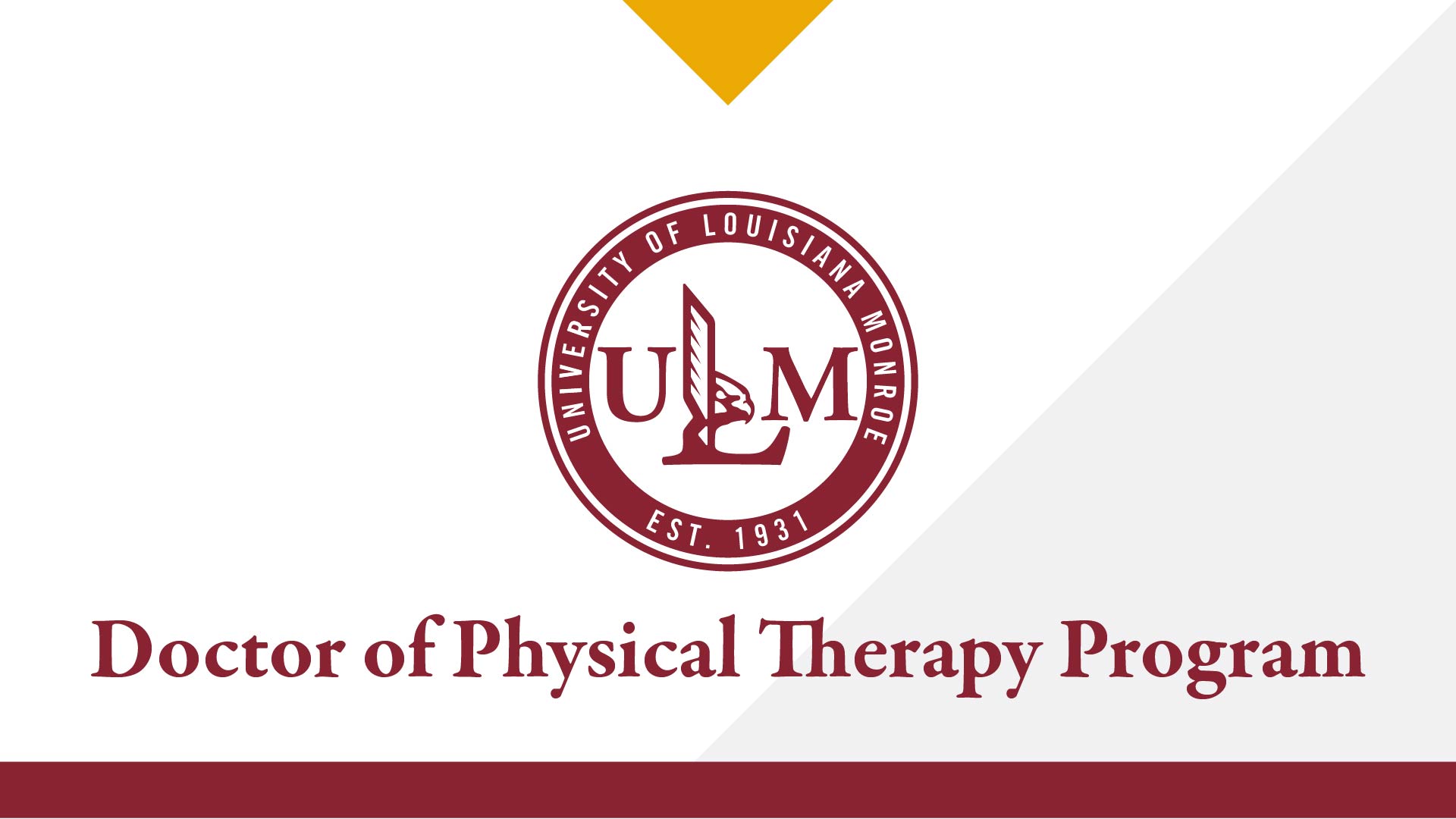 doctor of physical therapy schools