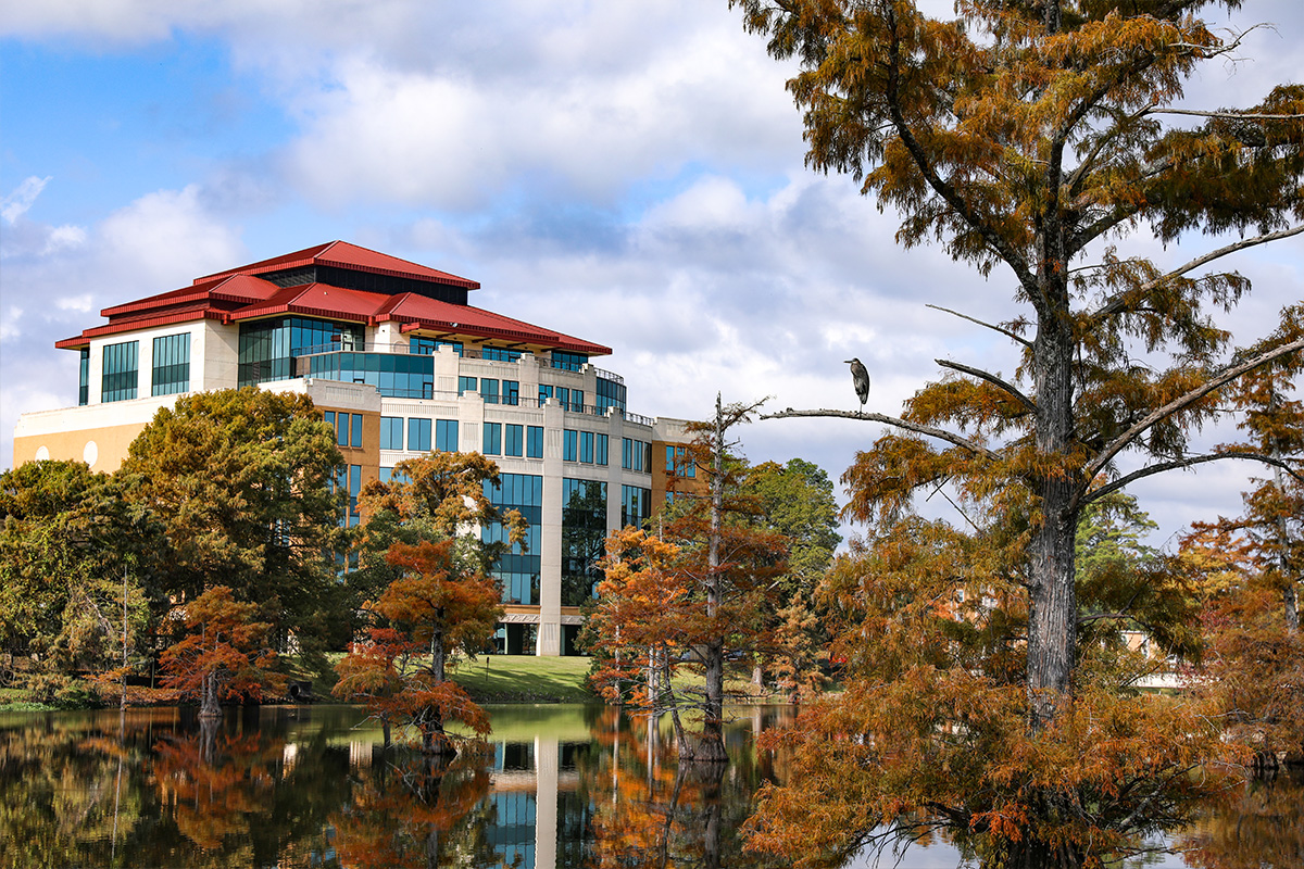 The ULM library across Bayou Desiard with a heron perched in a tree in the foreground.
