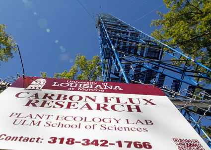 Photo of carbon flux tower