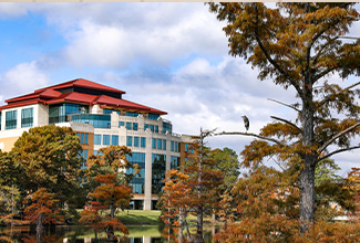 ULM expands bachelor