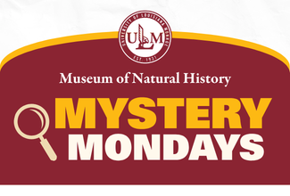 ULM Museum of Natural History hosts Mystery Mondays on June 22 & 29