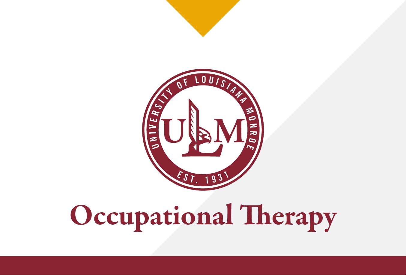 ULM Occupational Therapy Assistant program receives full accreditation, prepares to graduate first class