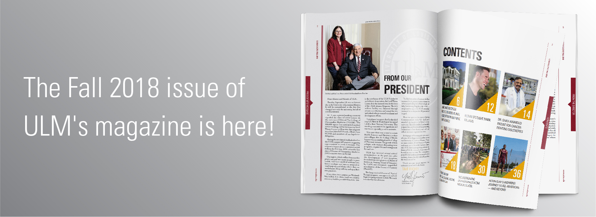 Nice T Cancer Brochure Template Free Images Gallery University Of T Cancer Brochure Template Free