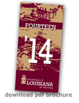 graphic of brochure
