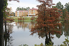 bayou with residence hall