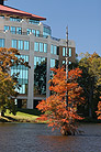 lbrary on bayou