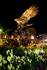 stature at night with library