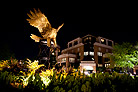 stature at night with library