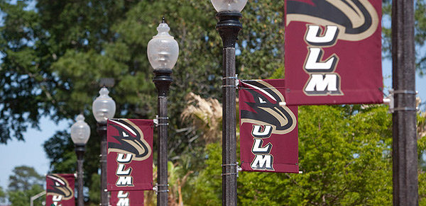 ULM banners on light poles