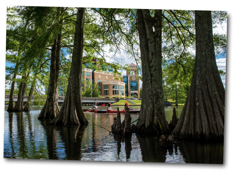 students kayaking among cypress trees