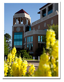 photo of library and flower bed