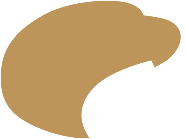 hawk icon