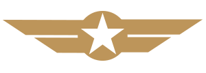 gold wings icon