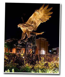 hawk statue at night