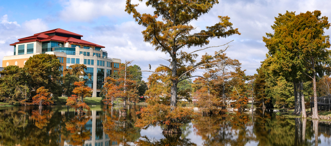 view of the libary from the bayou