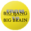From Big Bang to Big Brain