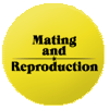 Mating and Reproduction