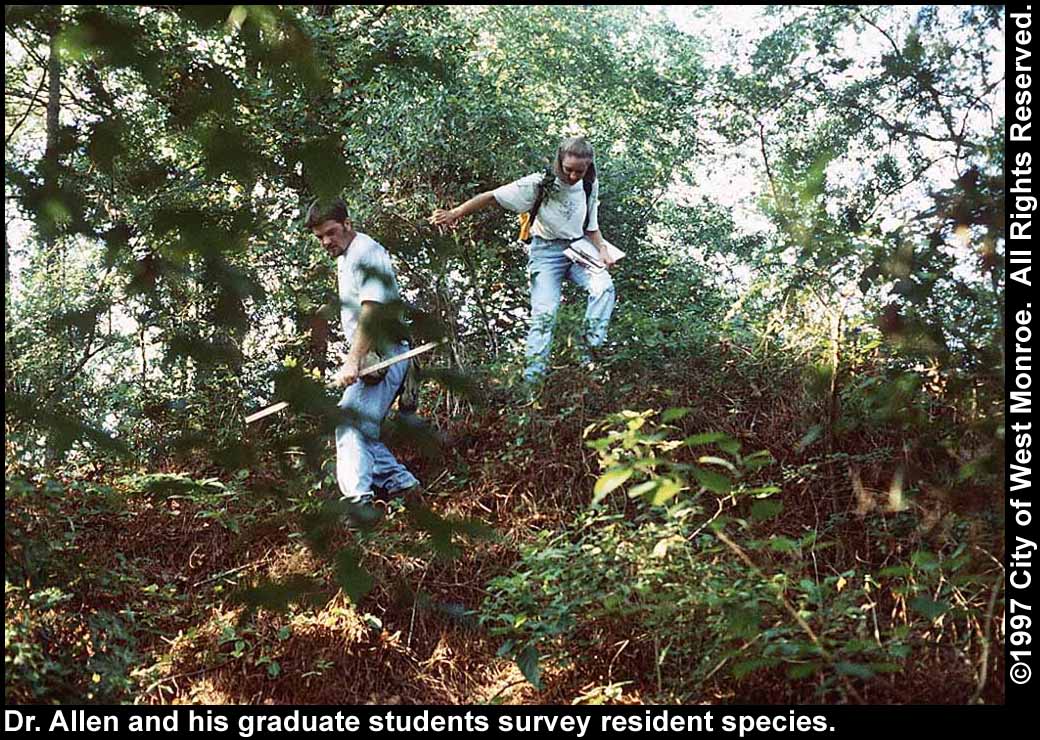 Photo: Surveying plants