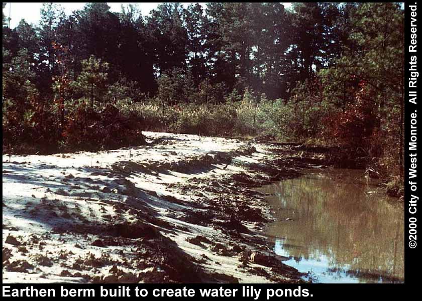 Photo: Earthen berm