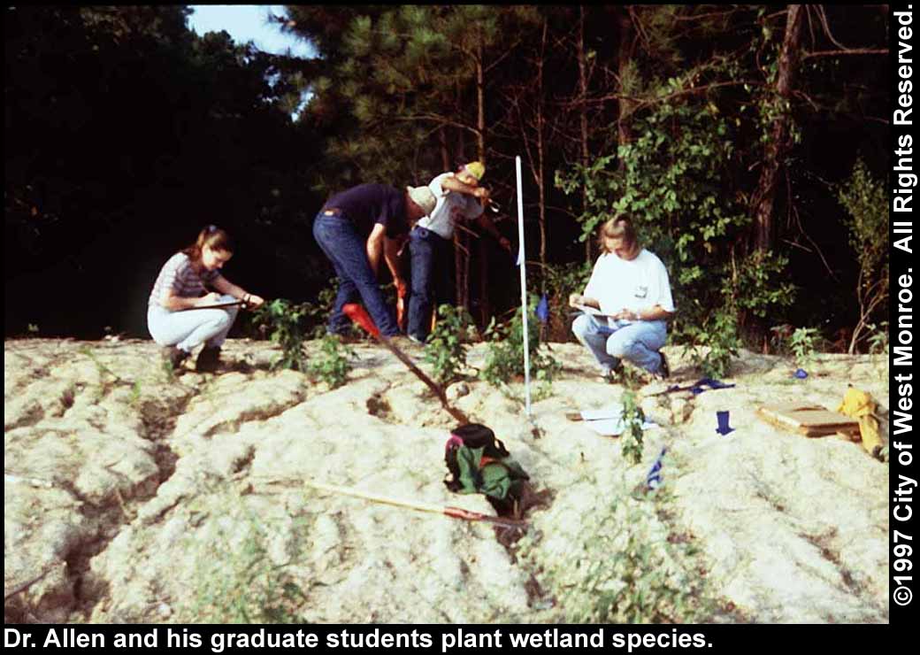 Photo: Planting