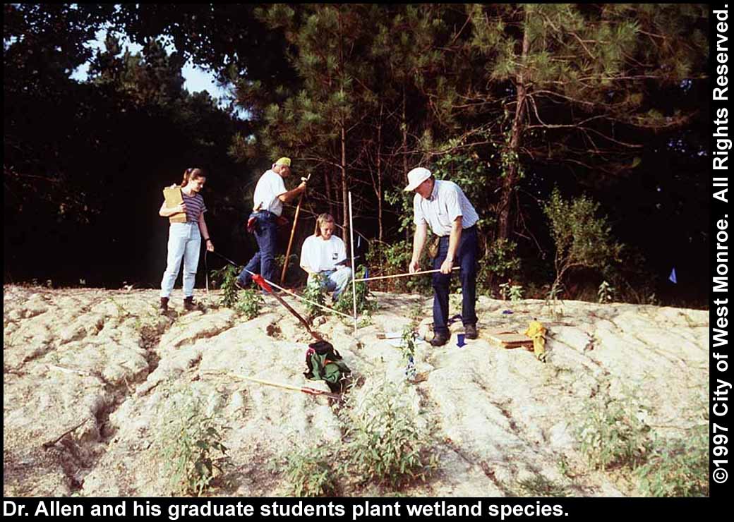 Photo: Planting