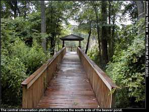 Photo: Central observation platform