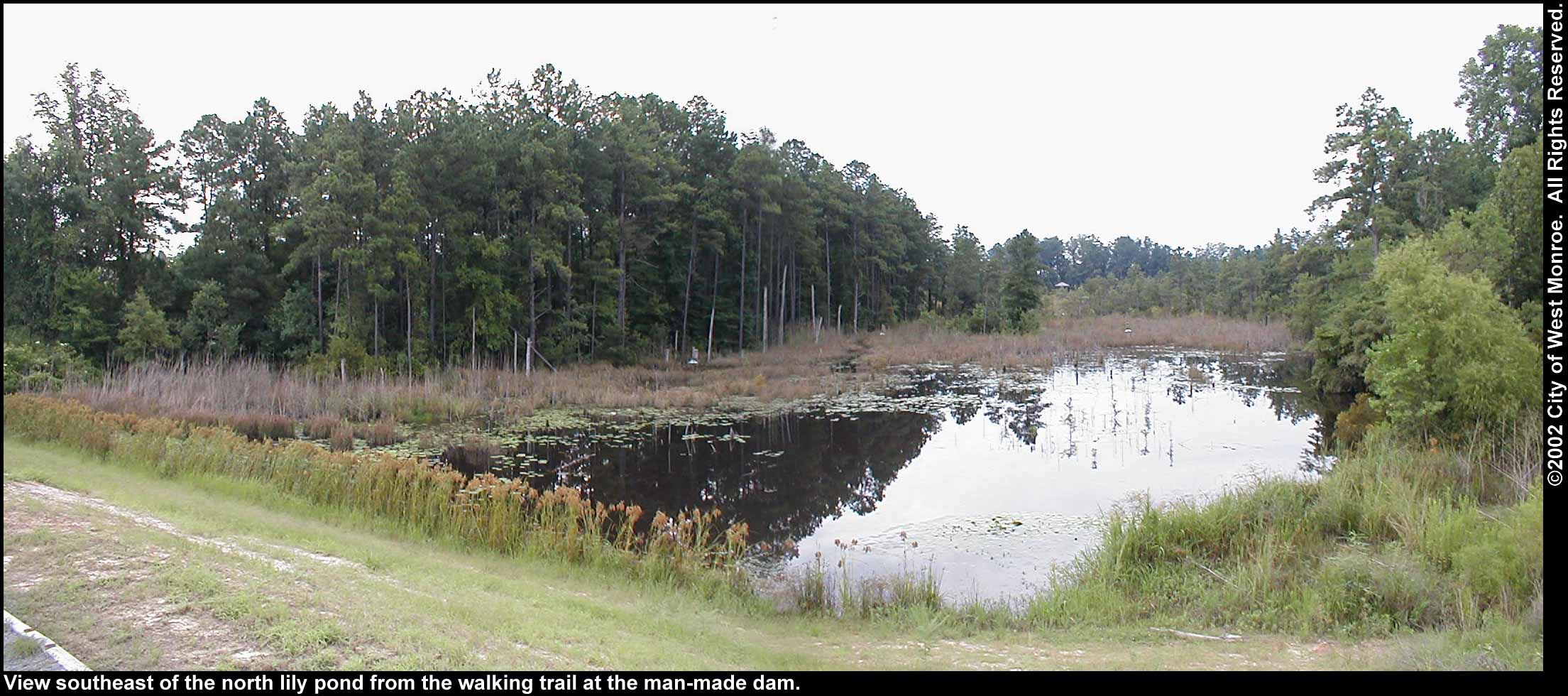 Photo: North lily pond