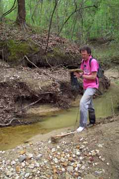 Photo: Dr. Gary Stringer
