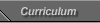 Curriculum